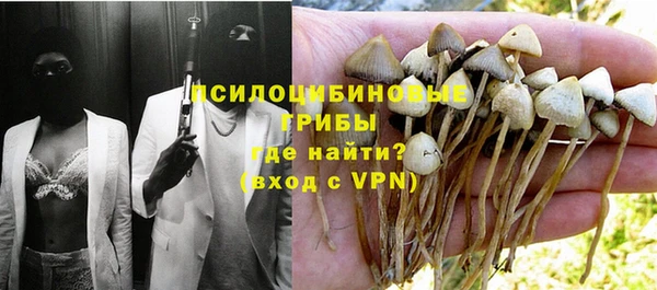 гидра Магадан