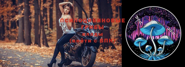 стафф Липки