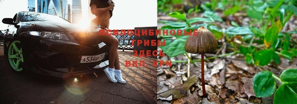 стафф Липки