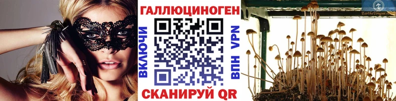 дарк нет наркотические препараты  Сураж  Галлюциногенные грибы мухоморы  магазин  наркотиков 